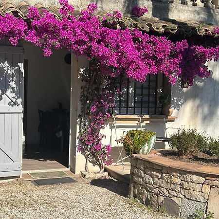 Ferienwohnung Les Palmiers Fréjus Exterior foto