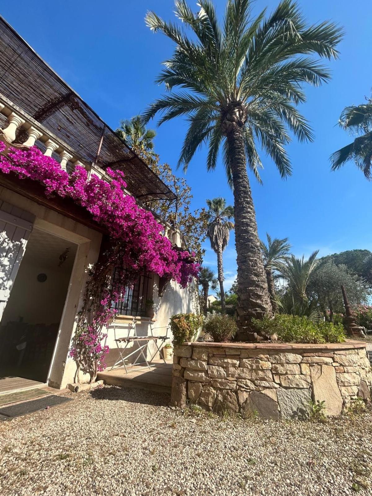 Ferienwohnung Les Palmiers Fréjus Exterior foto